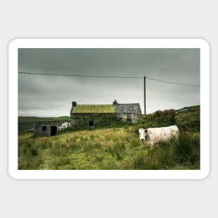 Valentia Island Cow Sticker